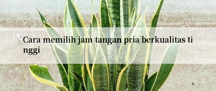 Cara memilih jam tangan pria berkualitas tinggi