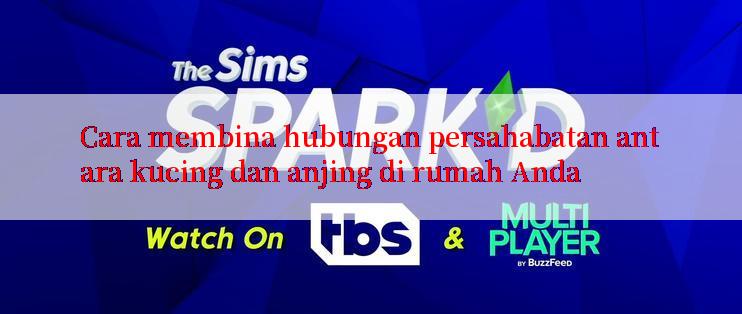 Cara membina hubungan persahabatan antara kucing dan anjing di rumah Anda