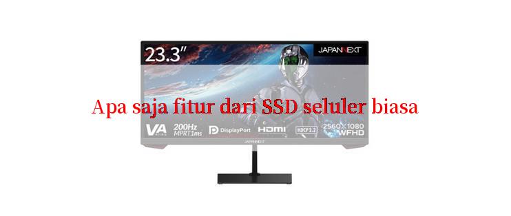 Apa saja fitur dari SSD seluler biasa