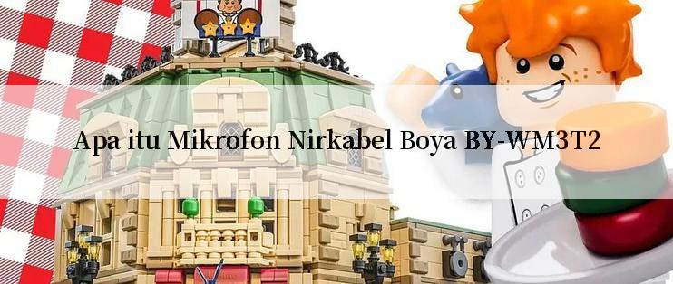 Apa itu Mikrofon Nirkabel Boya BY-WM3T2