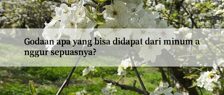 Godaan apa yang bisa didapat dari minum anggur sepuasnya?