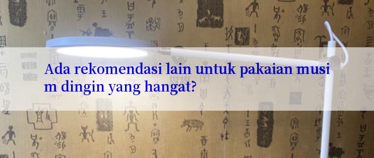 Ada rekomendasi lain untuk pakaian musim dingin yang hangat?