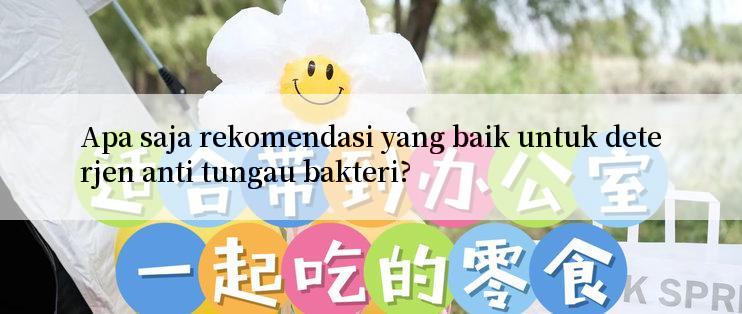 Apa saja rekomendasi yang baik untuk deterjen anti tungau bakteri?