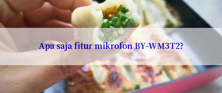 Apa saja fitur mikrofon BY-WM3T2?