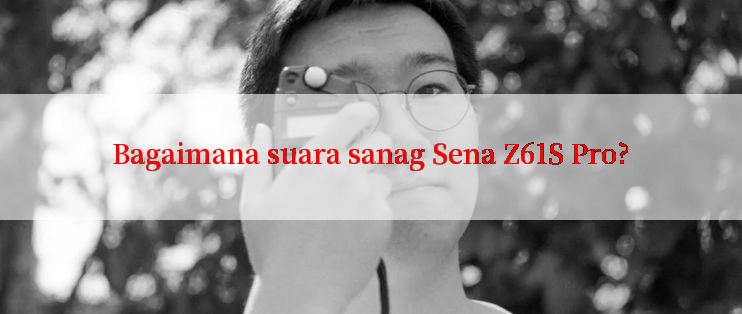 Bagaimana suara sanag Sena Z61S Pro?