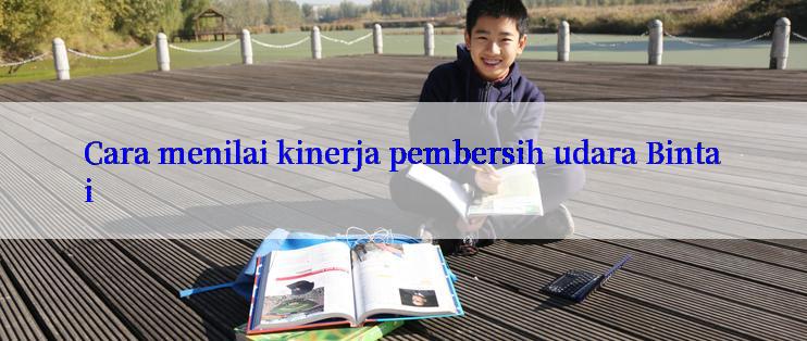 Cara menilai kinerja pembersih udara Bintai