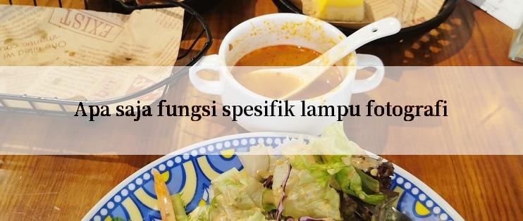 Apa saja fungsi spesifik lampu fotografi