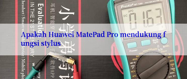 Apakah Huawei MatePad Pro mendukung fungsi stylus