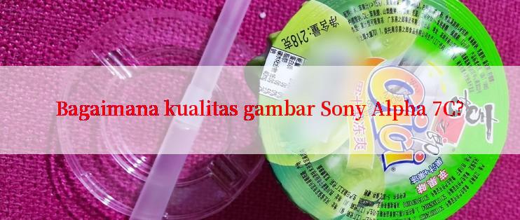 Bagaimana kualitas gambar Sony Alpha 7C?