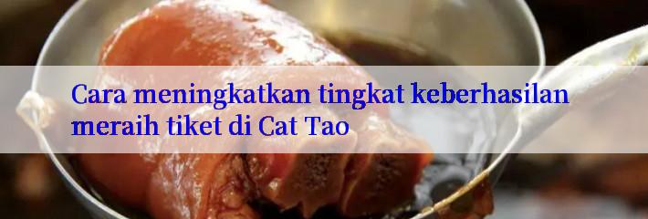 Cara meningkatkan tingkat keberhasilan meraih tiket di Cat Tao