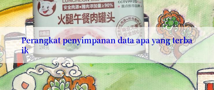 Perangkat penyimpanan data apa yang terbaik