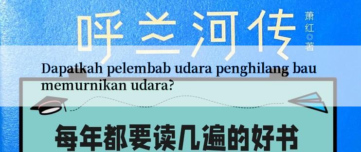 Dapatkah pelembab udara penghilang bau memurnikan udara?