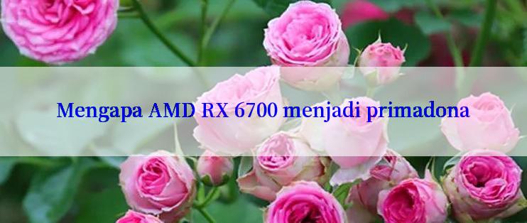 Mengapa AMD RX 6700 menjadi primadona