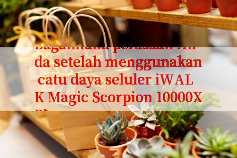 Bagaimana perasaan Anda setelah menggunakan catu daya seluler iWALK Magic Scorpion 10000XP?