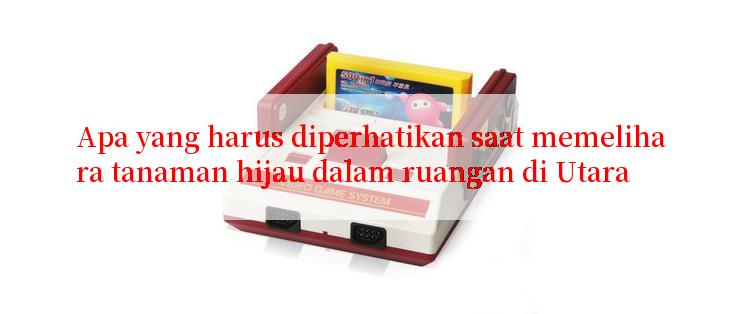 Apa yang harus diperhatikan saat memelihara tanaman hijau dalam ruangan di Utara