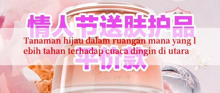 Tanaman hijau dalam ruangan mana yang lebih tahan terhadap cuaca dingin di utara