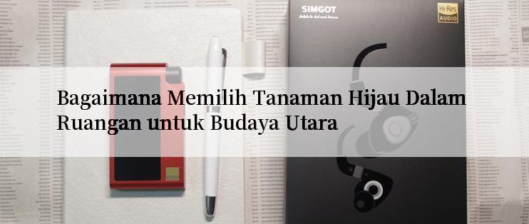 Bagaimana Memilih Tanaman Hijau Dalam Ruangan untuk Budaya Utara