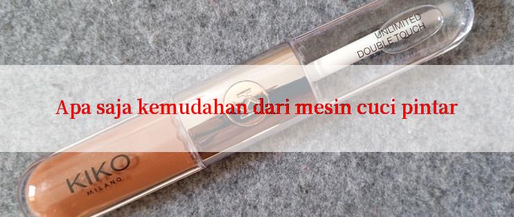 Apa saja kemudahan dari mesin cuci pintar