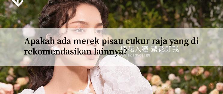 Apakah ada merek pisau cukur raja yang direkomendasikan lainnya?