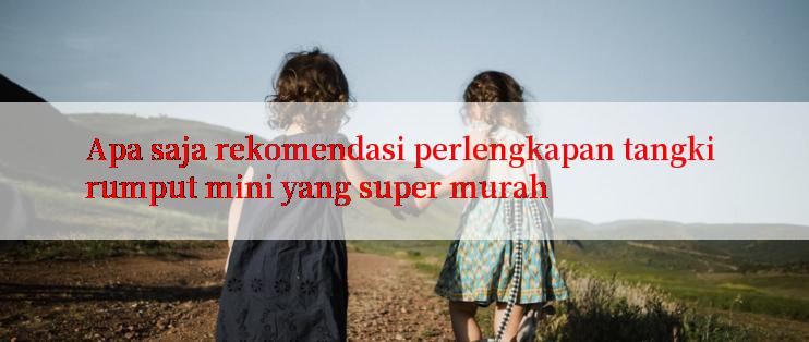 Apa saja rekomendasi perlengkapan tangki rumput mini yang super murah