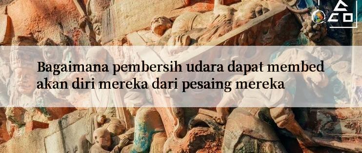 Bagaimana pembersih udara dapat membedakan diri mereka dari pesaing mereka