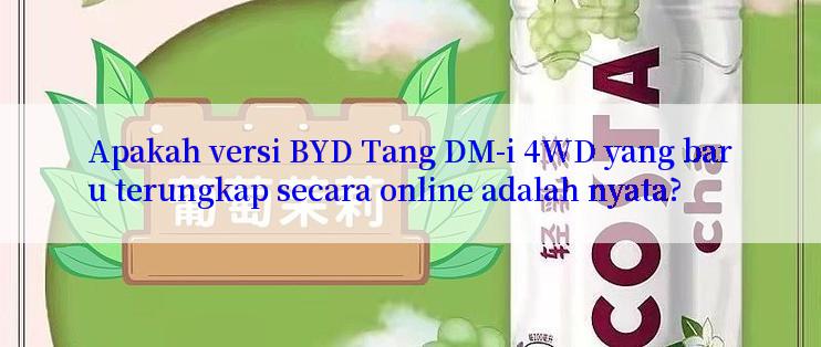 Apakah versi BYD Tang DM-i 4WD yang baru terungkap secara online adalah nyata?