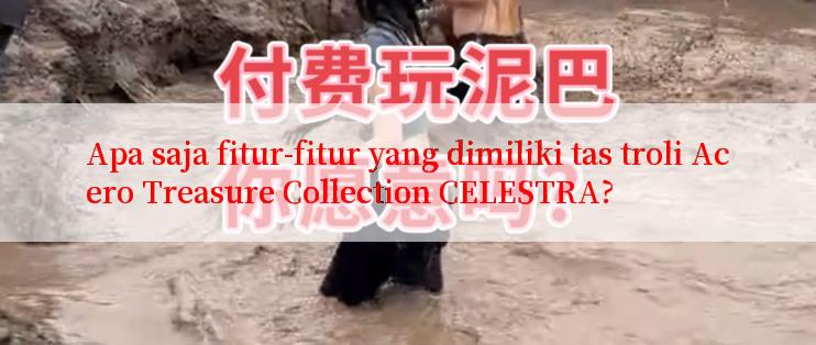 Apa saja fitur-fitur yang dimiliki tas troli Acero Treasure Collection CELESTRA?