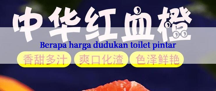 Berapa harga dudukan toilet pintar