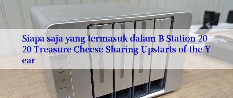 Siapa saja yang termasuk dalam B Station 2020 Treasure Cheese Sharing Upstarts of the Year