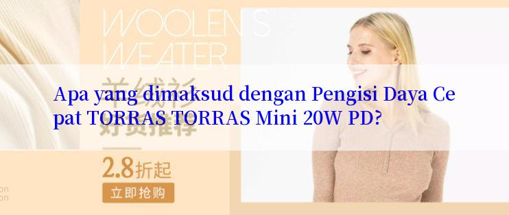 Apa yang dimaksud dengan Pengisi Daya Cepat TORRAS TORRAS Mini 20W PD?