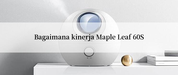 Bagaimana kinerja Maple Leaf 60S