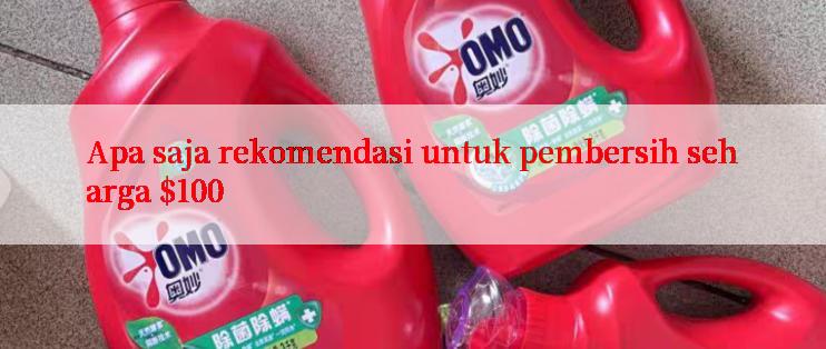 Apa saja rekomendasi untuk pembersih seharga $100