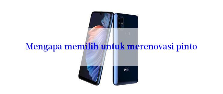 Mengapa memilih untuk merenovasi pinto