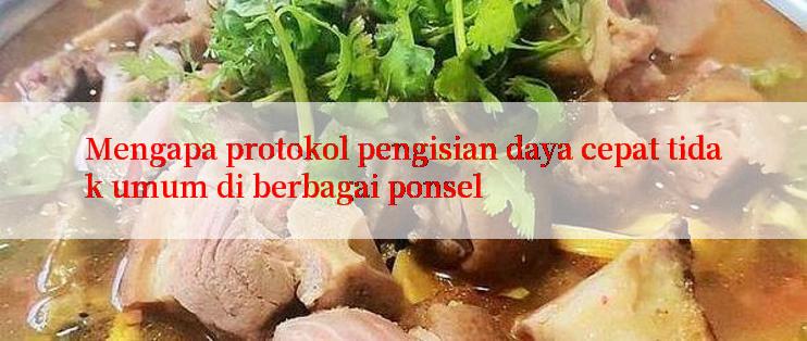 Mengapa protokol pengisian daya cepat tidak umum di berbagai ponsel