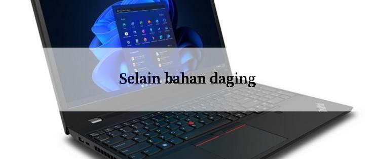 Selain bahan daging