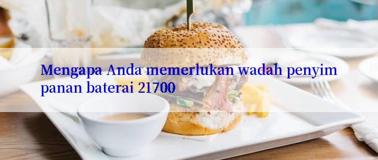 Mengapa Anda memerlukan wadah penyimpanan baterai 21700