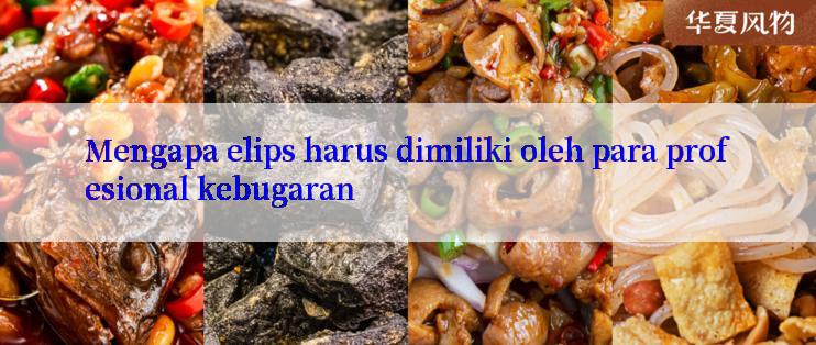 Mengapa elips harus dimiliki oleh para profesional kebugaran