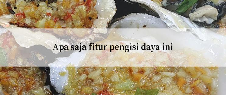 Apa saja fitur pengisi daya ini