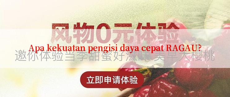 Apa kekuatan pengisi daya cepat RAGAU?