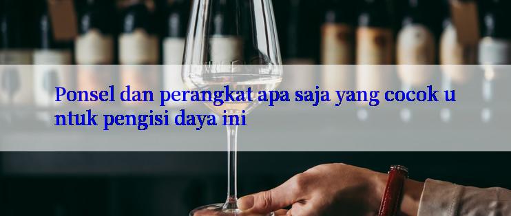 Ponsel dan perangkat apa saja yang cocok untuk pengisi daya ini