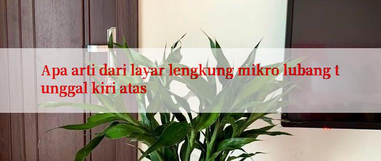 Apa arti dari layar lengkung mikro lubang tunggal kiri atas