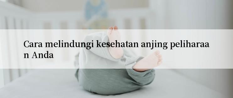 Cara melindungi kesehatan anjing peliharaan Anda