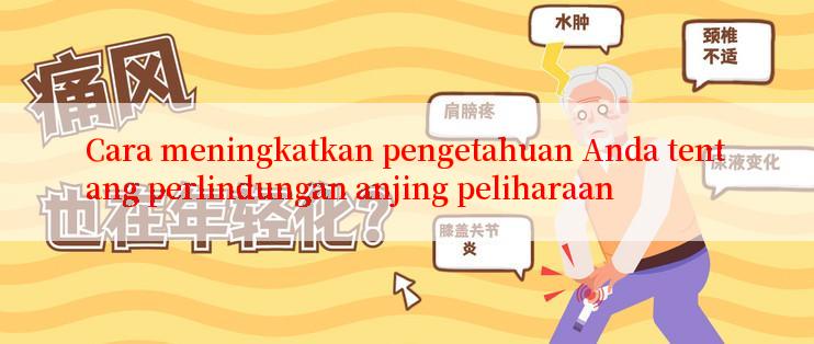 Cara meningkatkan pengetahuan Anda tentang perlindungan anjing peliharaan