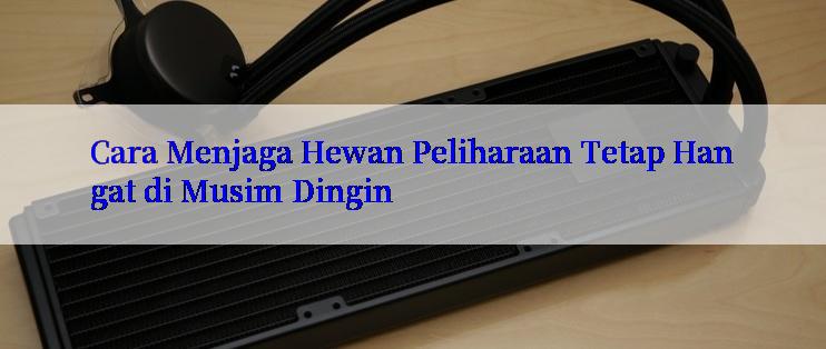 Cara Menjaga Hewan Peliharaan Tetap Hangat di Musim Dingin