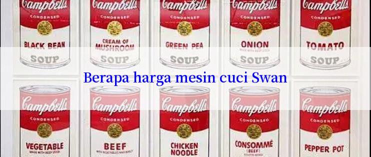 Berapa harga mesin cuci Swan