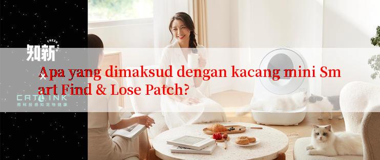 Apa yang dimaksud dengan kacang mini Smart Find & Lose Patch?