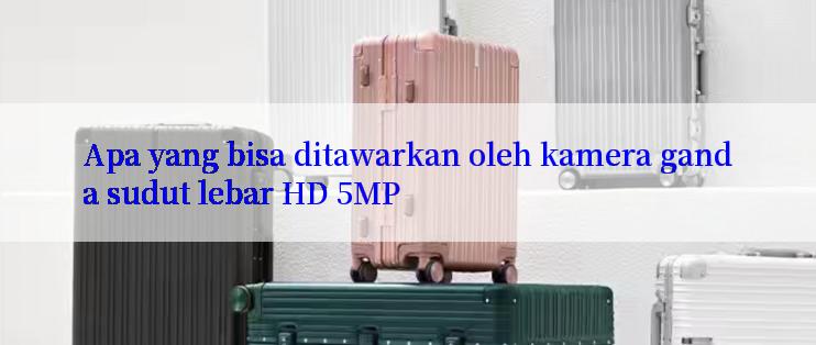 Apa yang bisa ditawarkan oleh kamera ganda sudut lebar HD 5MP