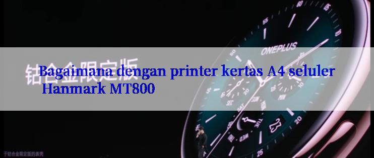 Bagaimana dengan printer kertas A4 seluler Hanmark MT800