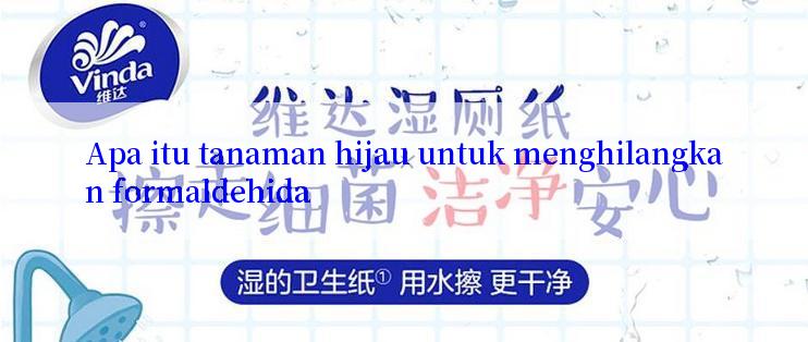 Apa itu tanaman hijau untuk menghilangkan formaldehida