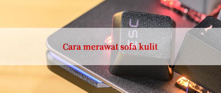 Cara merawat sofa kulit